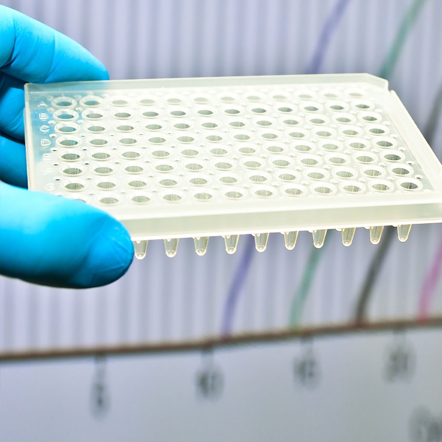 Odczynniki RT-PCR